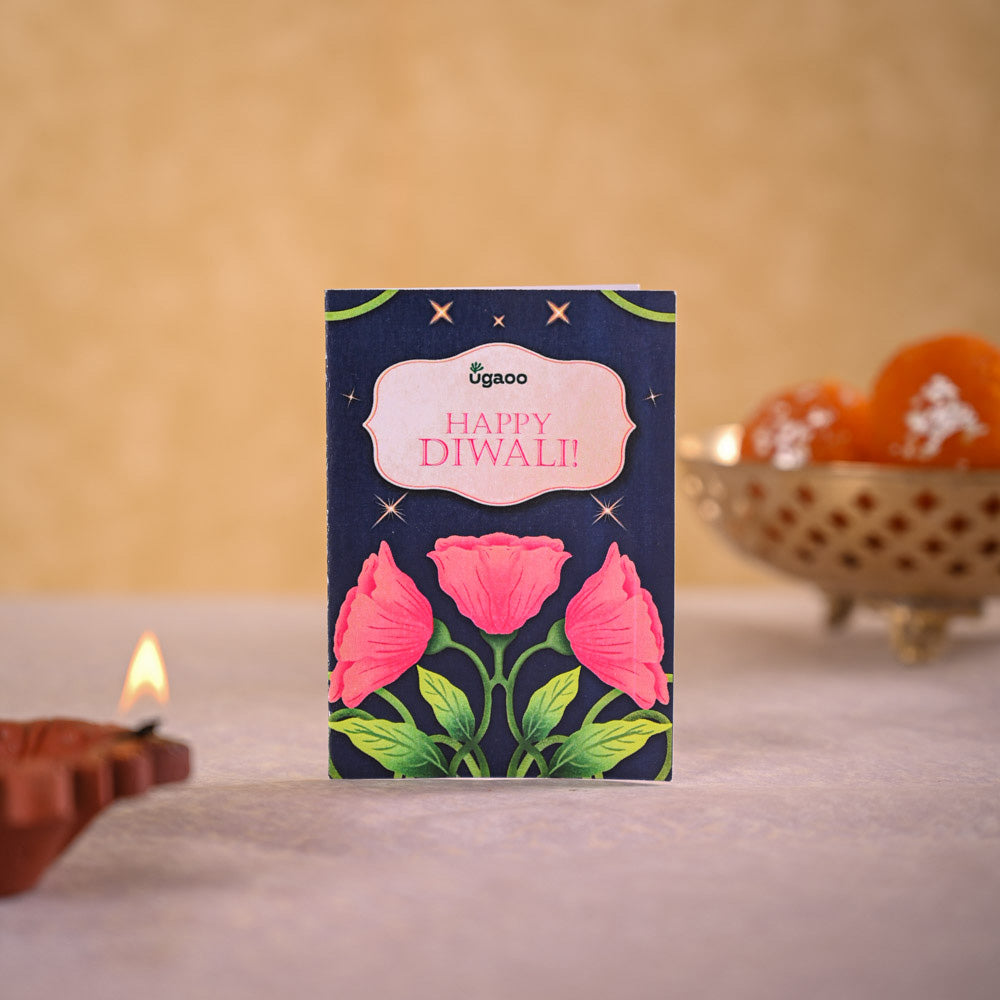 Jade Mini &amp; Nutki Gourmet Nut Mix Diwali Gift Hamper