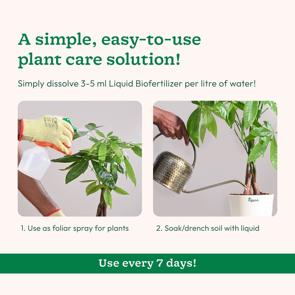 Plant Booster - Set of 3