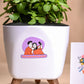 Rakhi Gift for sister -  Jade plant and chocolate