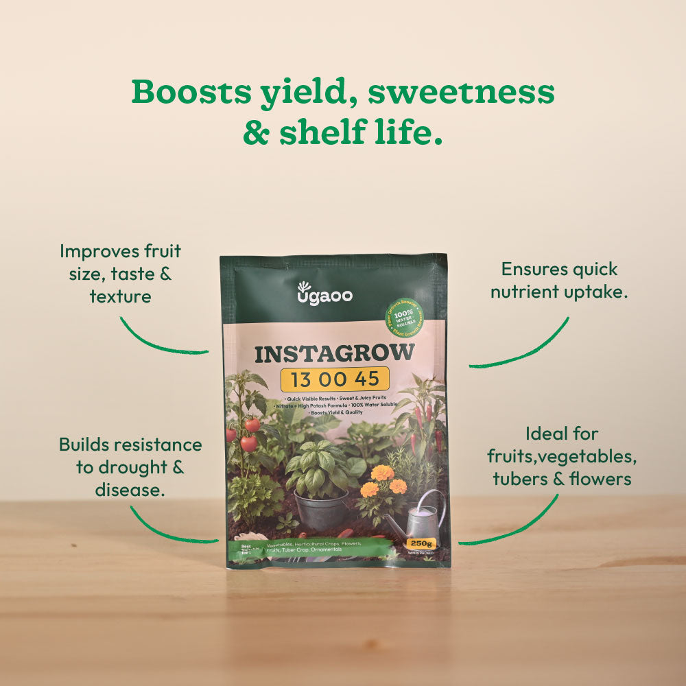Instagrow NPK 13:00:45 Fertilizer