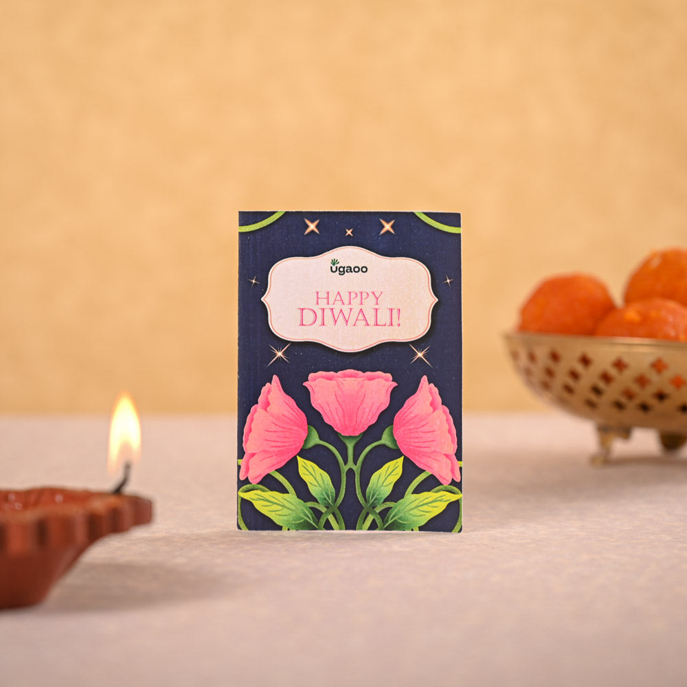 Aglaonema Red Plant &amp; Phool Diwali Gift Hamper