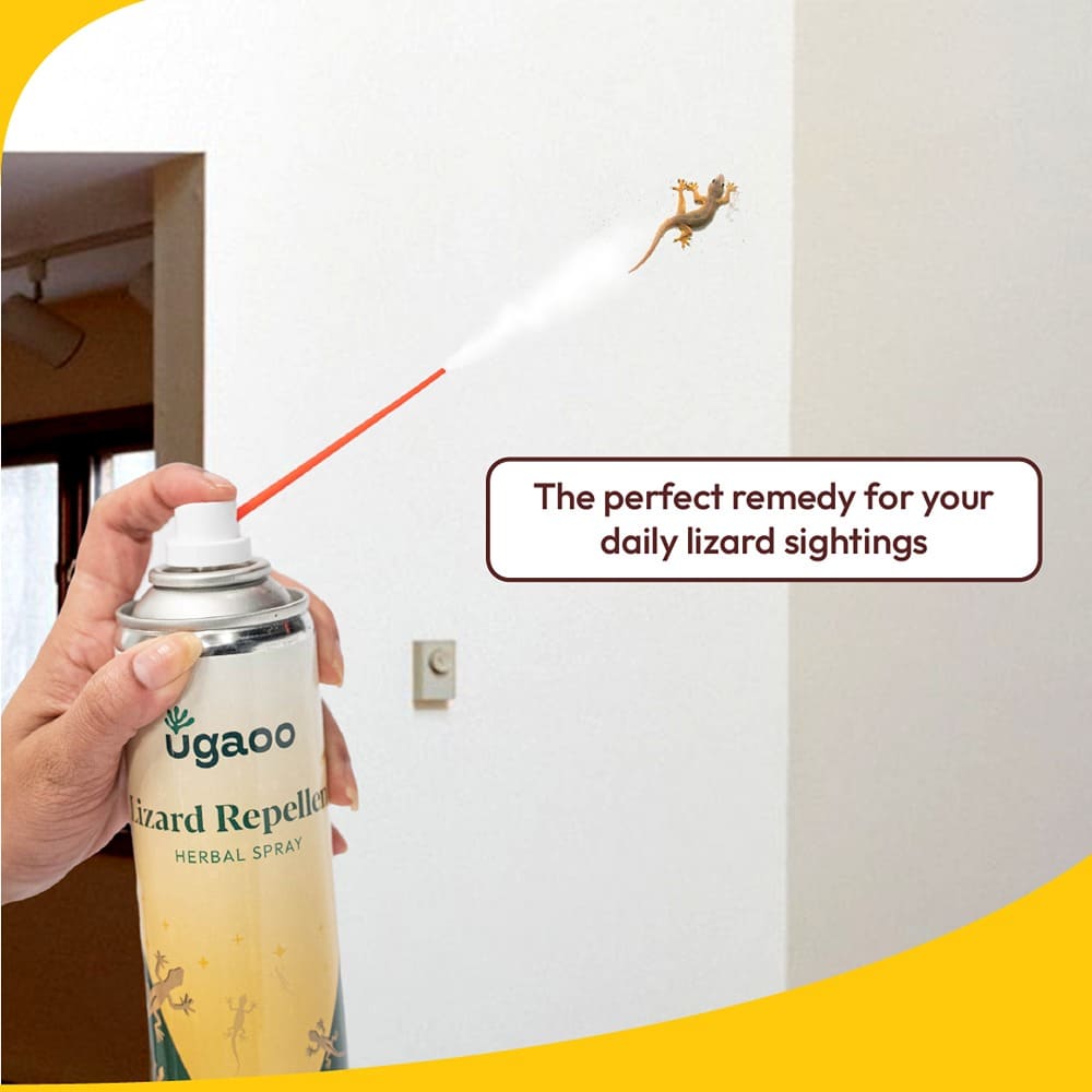 Buy Natural Lizard Repellent Spray Safe Solution for Pest Control