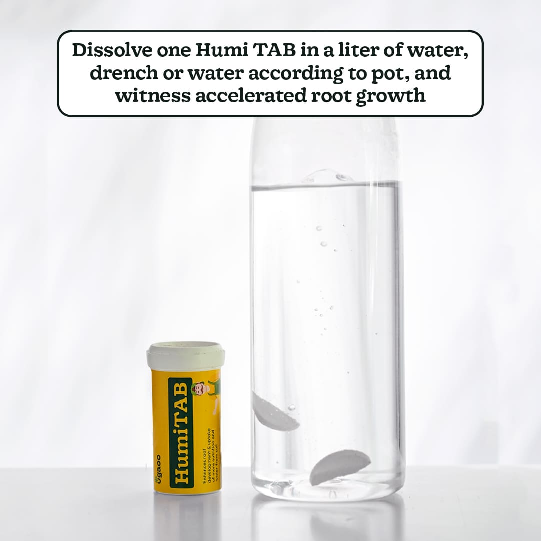 Humicet Tablet Buy HumiTab Root Growth Tablets to enhance the development of your ...