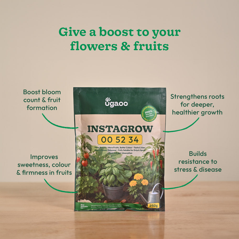 Instagrow NPK 00:52:34 Fertilizer