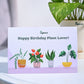 Money Plant Variegated Birthday Gift Hamper