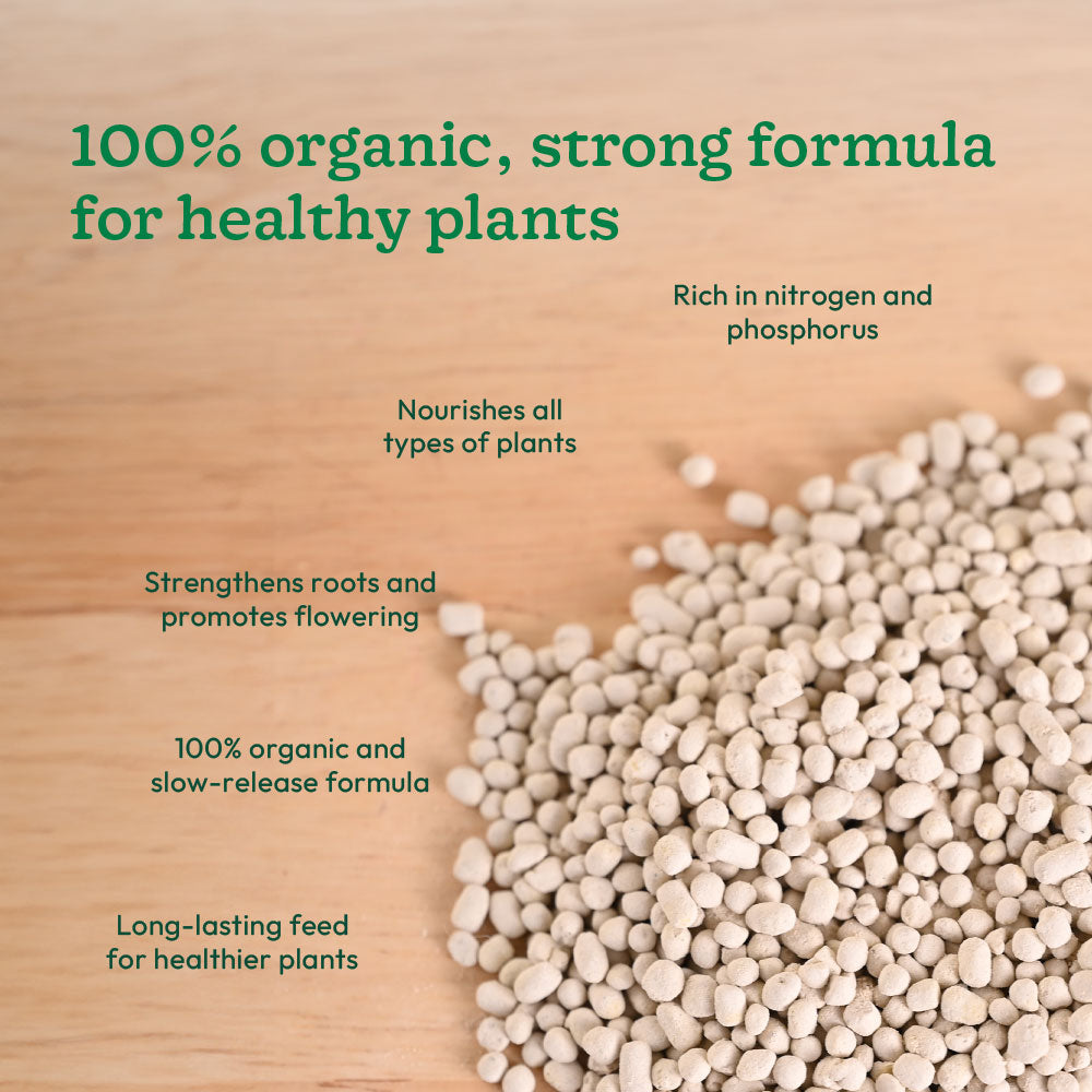 Bio DAP Fertilizer for Plants