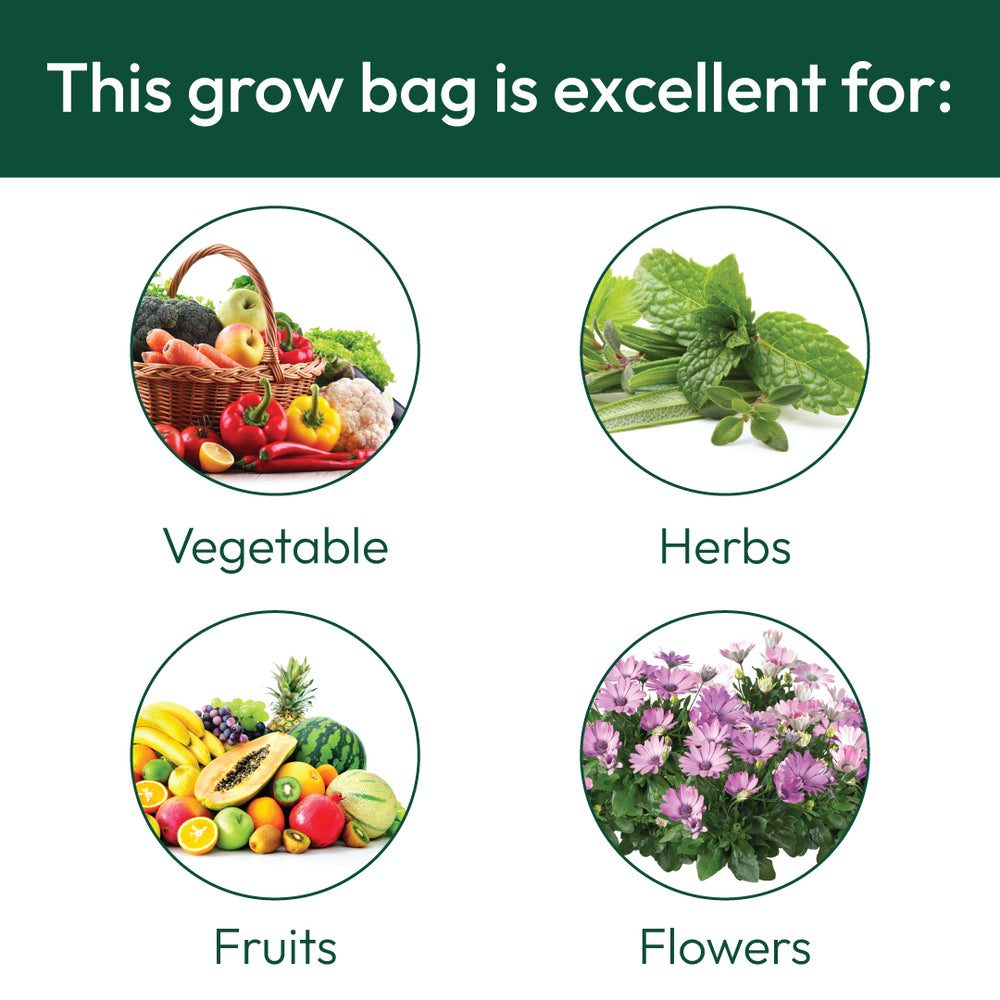 Geo-Fabric Round Grow Bag - 12 in x 12 in (Dia. x Height)