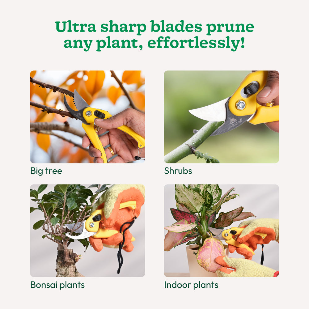 Hand Pruner