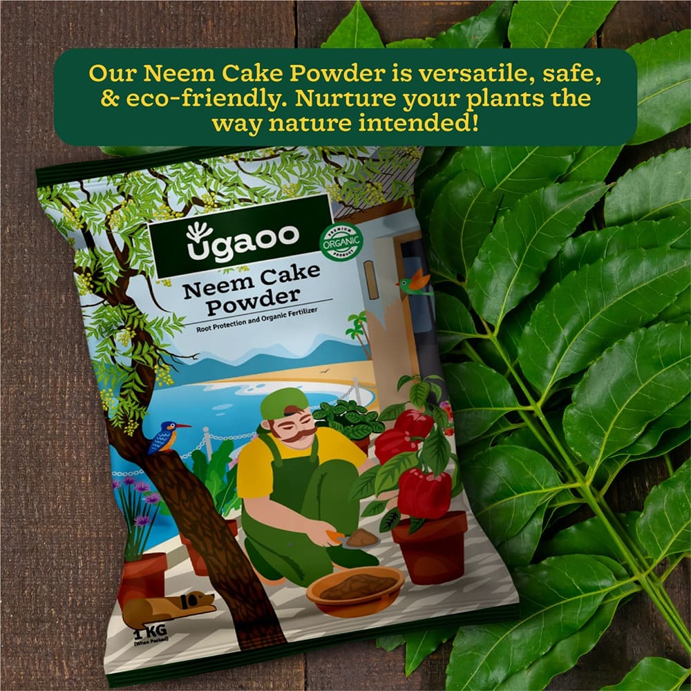 neem cake for potted plants Buy Neem Cake Powder for Healthy Plants: Natural Growth Booster – Ugaoo