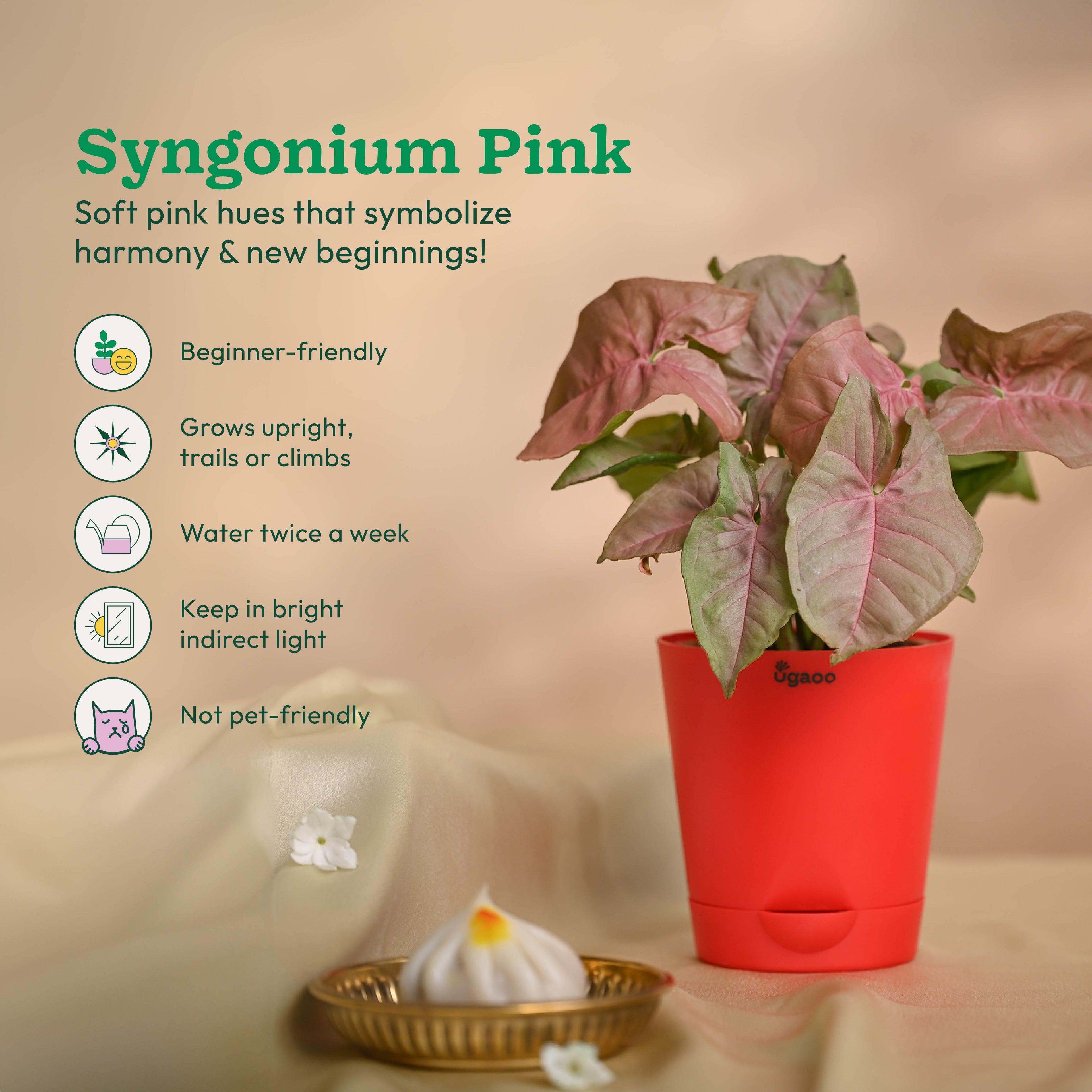 Ganapati Decor - Set of Plants