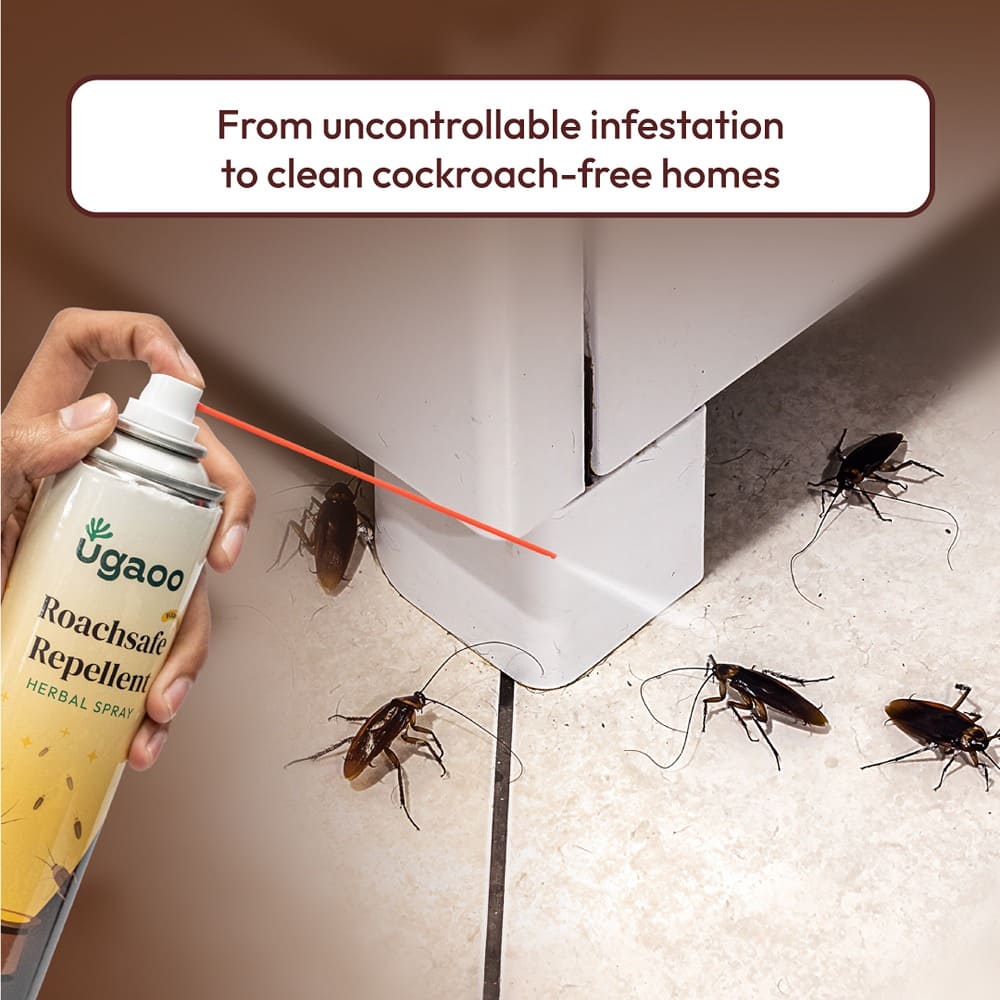 Buy the Powerful Cockroach Repellent: An Ultimate Roach Killer Spray
