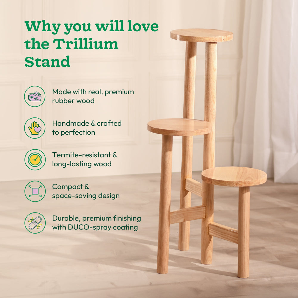 Trillum Wooden Stand