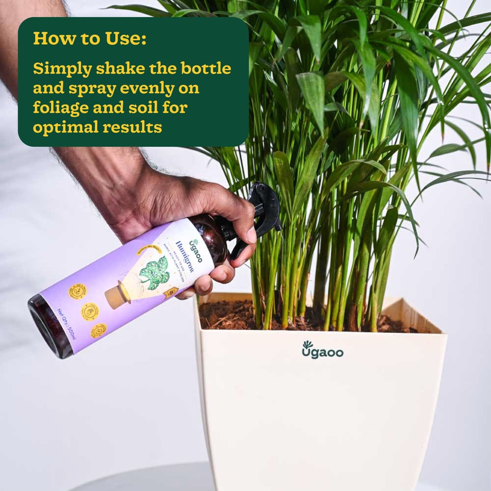 humic acid for potted plants Humic Acid Ready-to-Use Spray