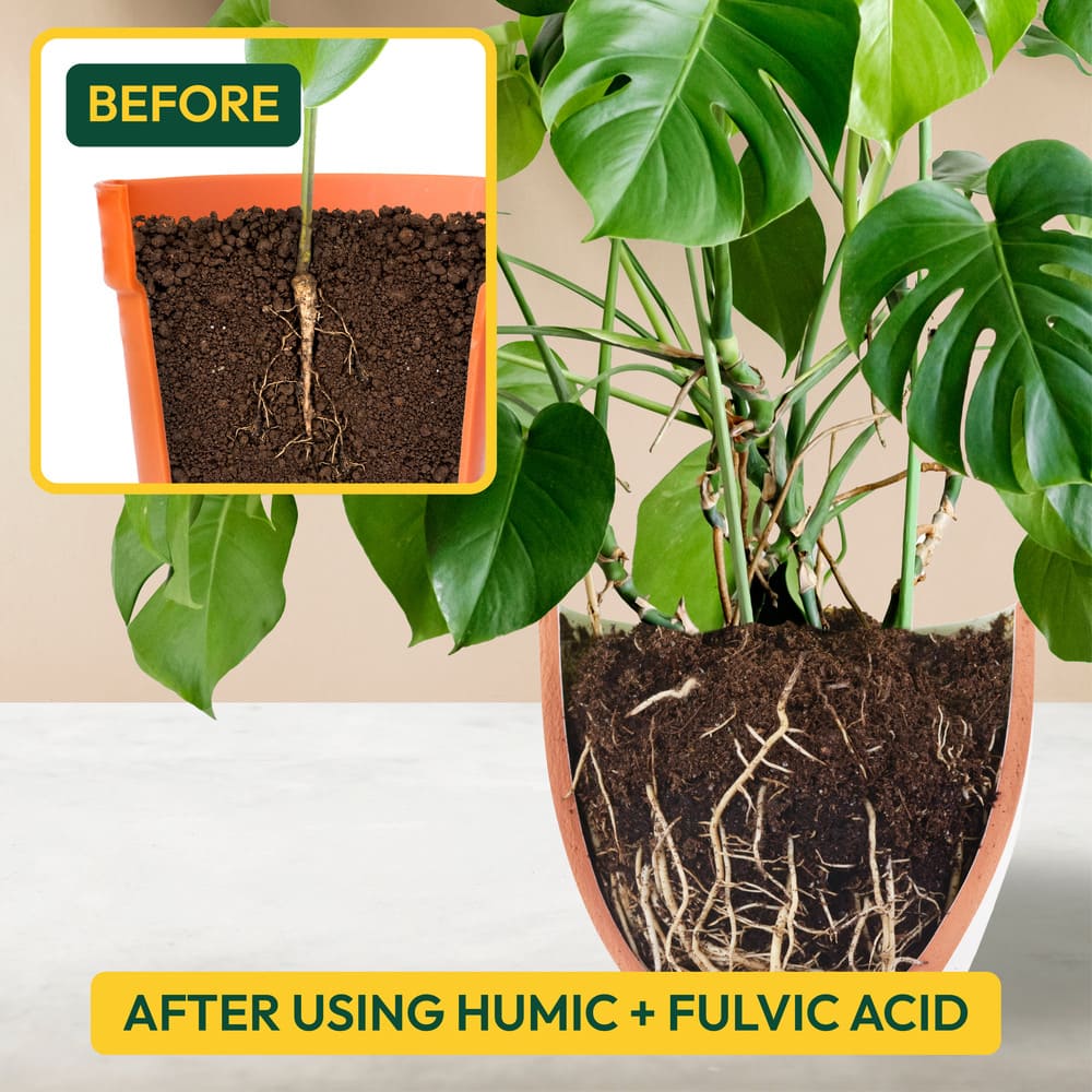 Buy Humic & Fulvic Acid Fertilizer | Plant Growth Booster