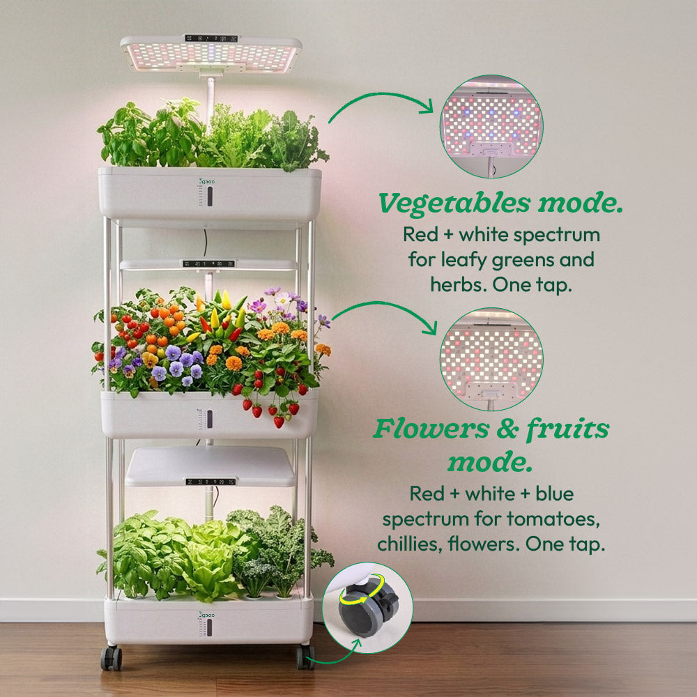 3 plant hydroponic system Smart Indoor Hydroponic Planter with LED Grow Light | 10L Tank