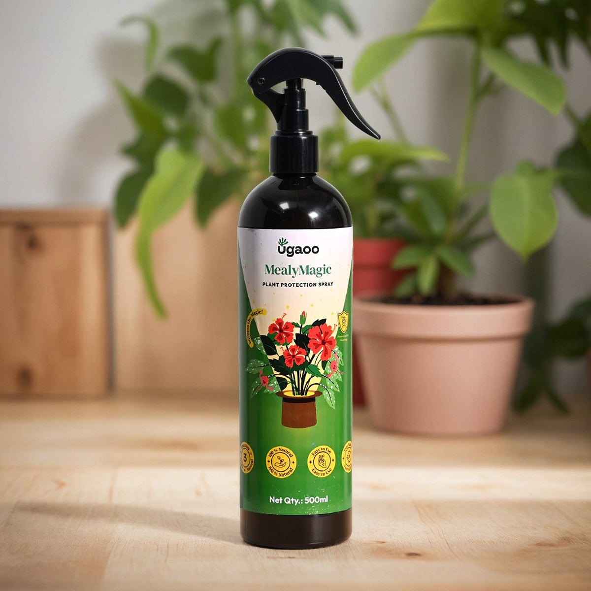 Buy Effective Mealybug Spray: An Eco-friendly & Natural Insecticide for ...