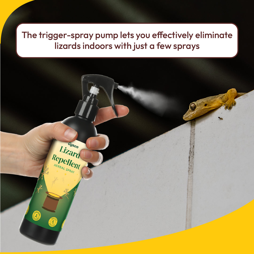 Buy Natural Lizard Repellent Spray: Safe Solution for Pest Control – Ugaoo