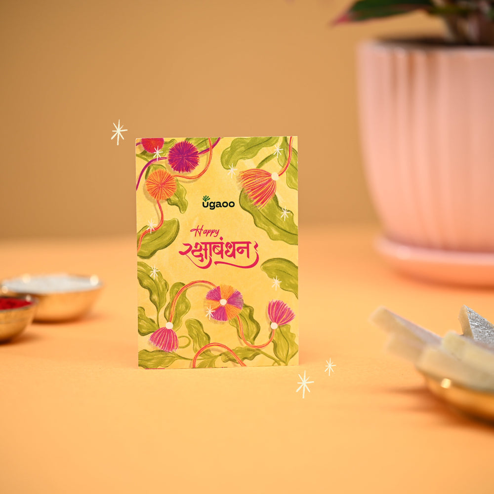 Rakhi Gift for Sister - Aglaonema Red Plant in Grail Ceramic Pot - Medium