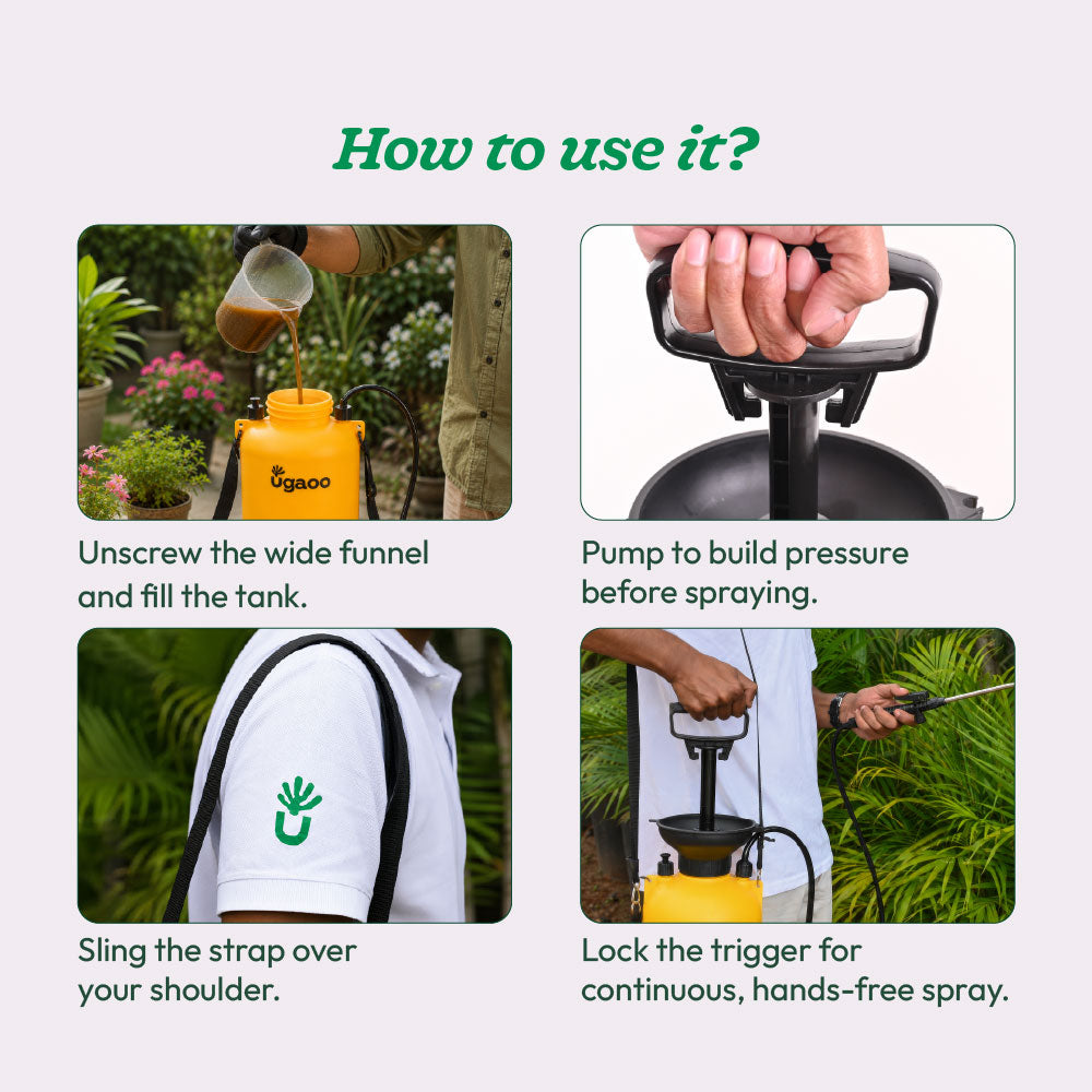 Compression Sprayer 5L