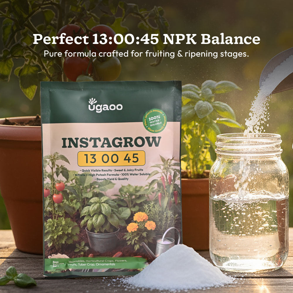 Instagrow NPK 13:00:45 Fertilizer