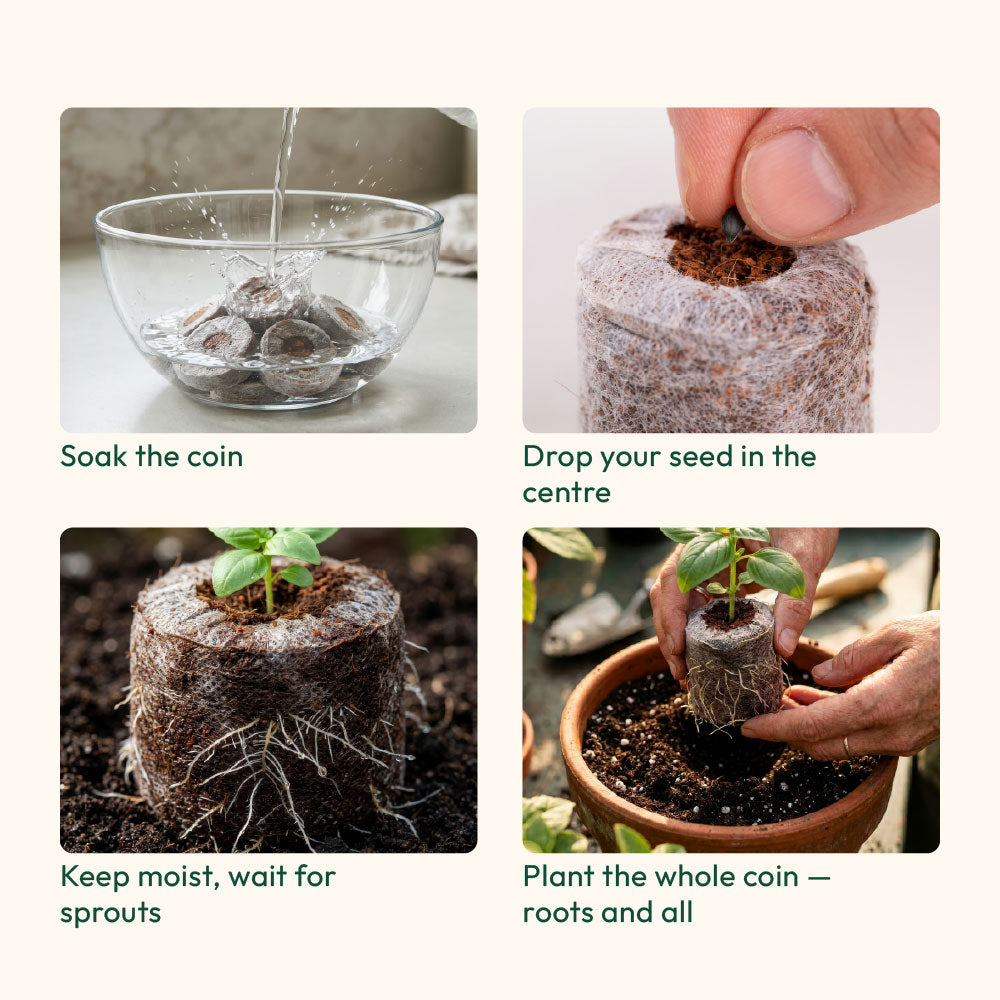 Coco Peat Coins