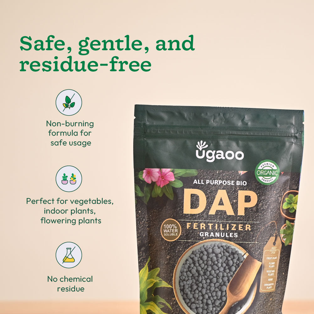 Bio DAP Fertilizer for Plants