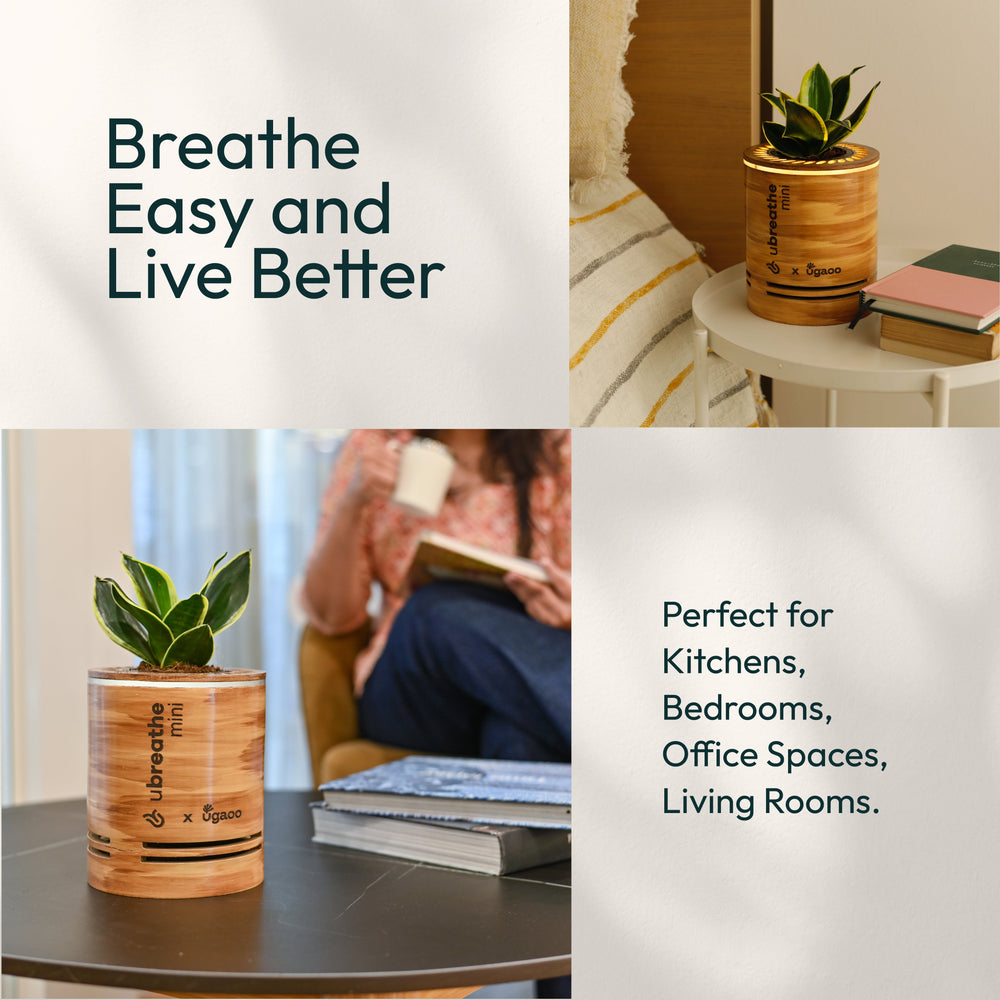 Mini Classic - Air Purifier for Home