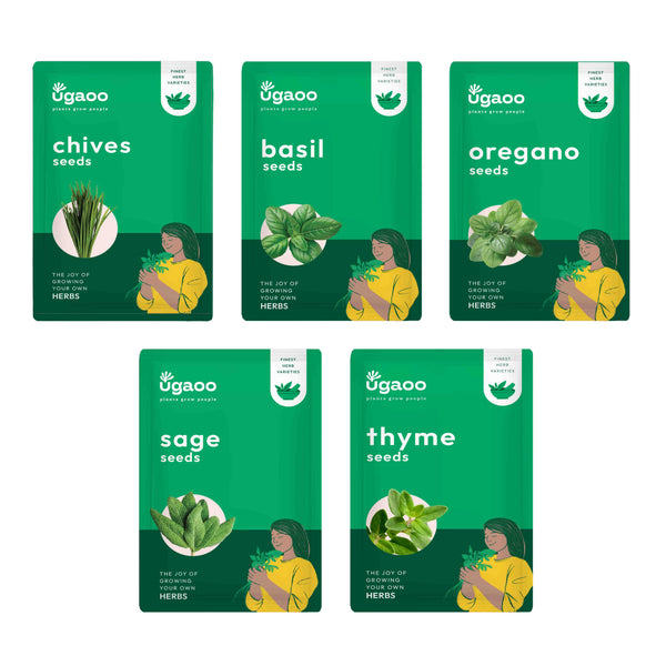 Herb Seeds Bundle of 5 Packet