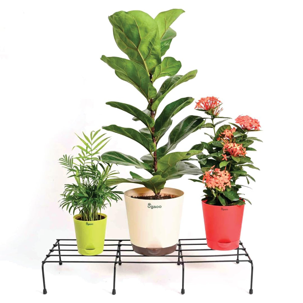Garden Plants Stand ( Set of 4 )