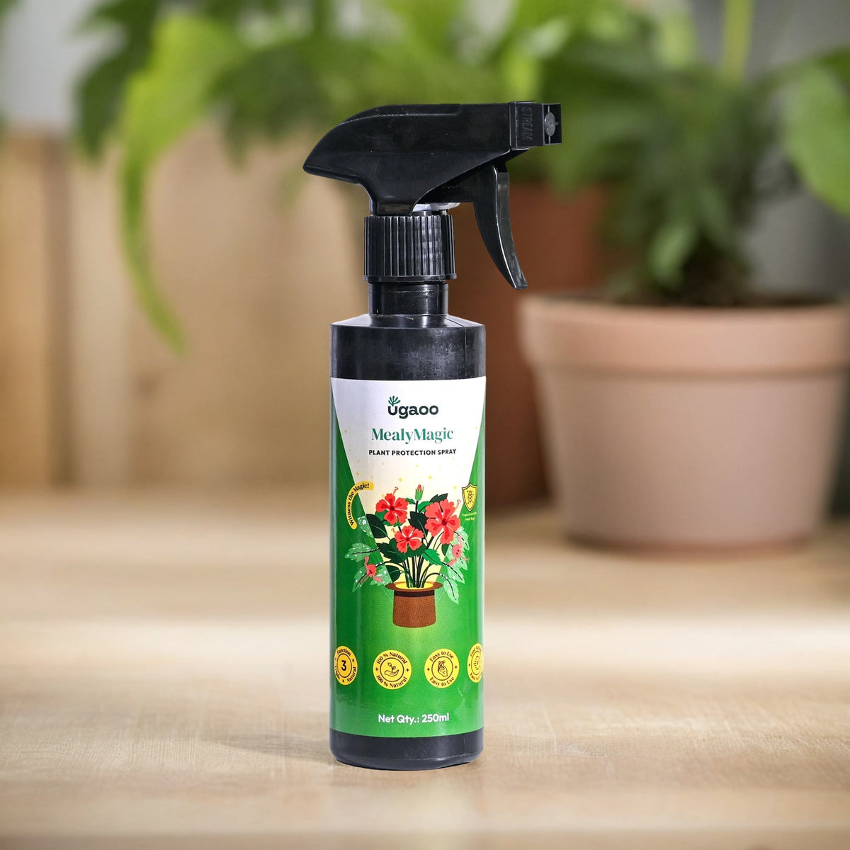 Buy Effective Mealybug Spray: An Eco-friendly & Natural Insecticide for ...