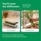 Drumstick Seeds (Moringa)