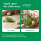 Green Onion Seeds (Leek)