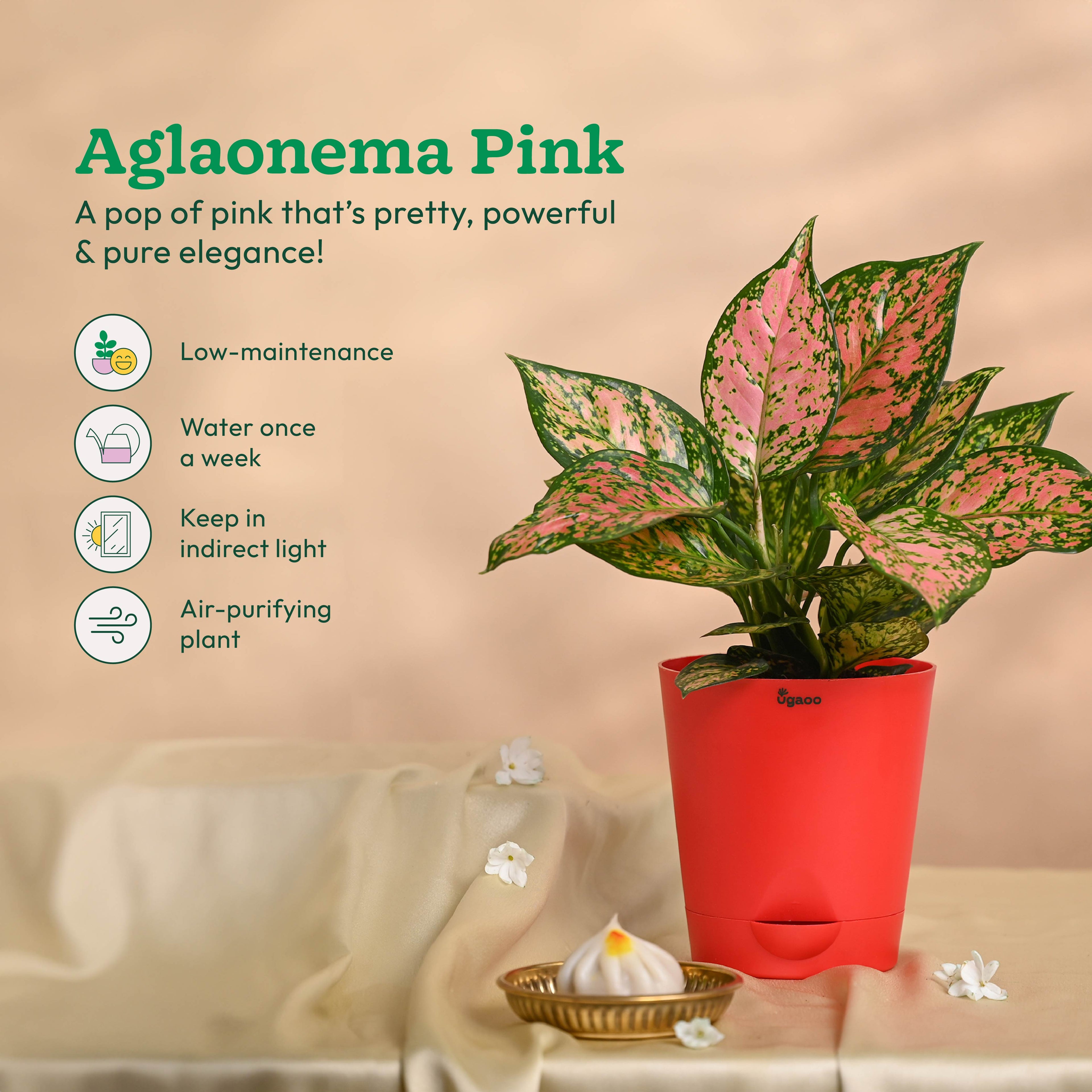 Ganapati Decor - Bundle of Plants