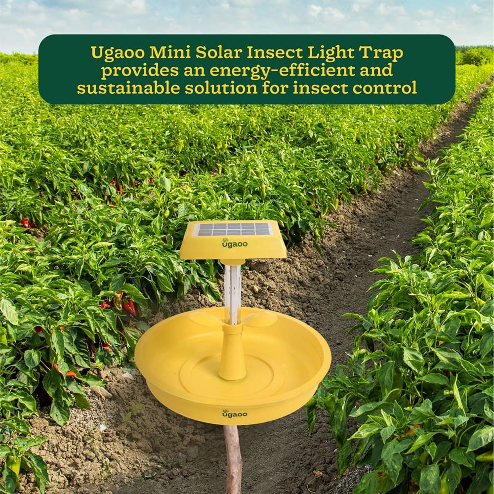 Solar Insect Control Device Buy Solar Light Insect Trap | Fly killer machine – Ugaoo