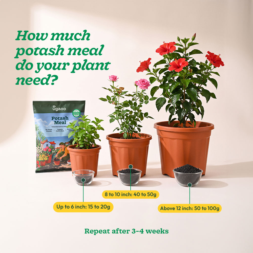Potash Meal - 1kg