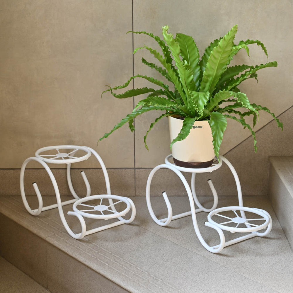 Swirl Decorative Plant stand- Set of 2- White