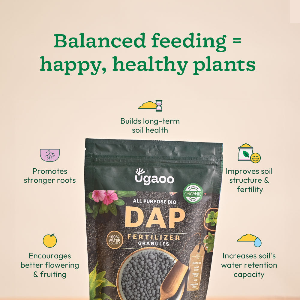 Bio DAP Fertilizer for Plants