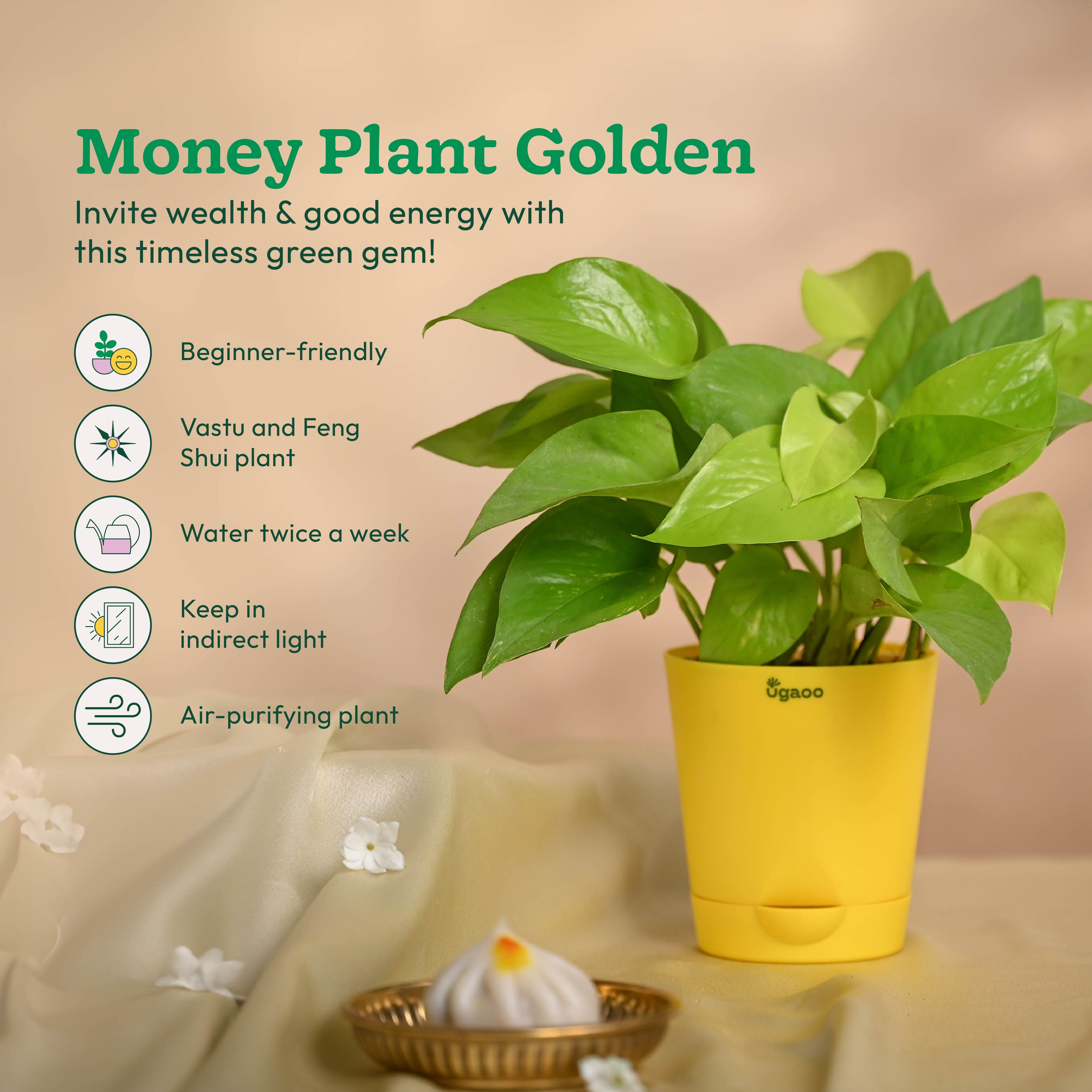 Ganapati Decor - Set of Plants