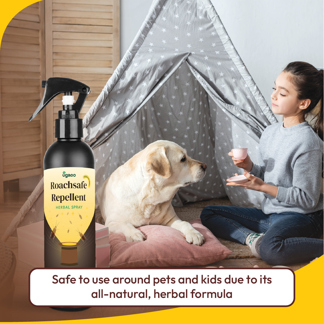 Buy the Powerful Cockroach Repellent: An Ultimate Roach Killer Spray ...