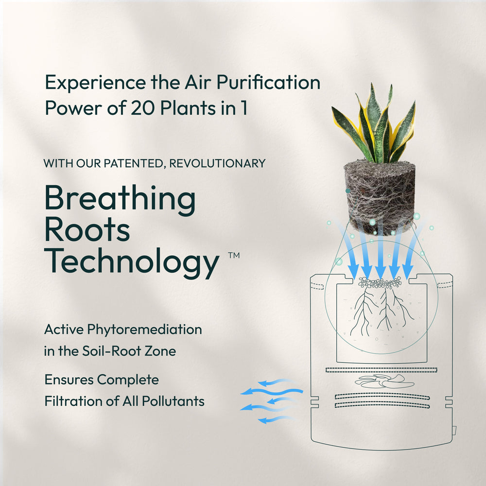 Mini Classic - Air Purifier for Home