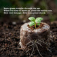 Coco Peat Coins