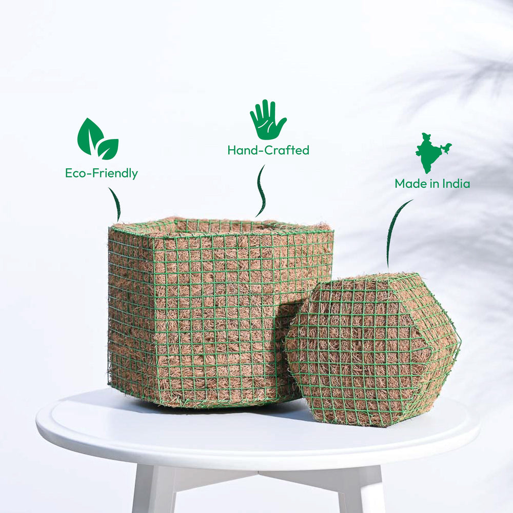 Hexa Coir Planter - Set of 2