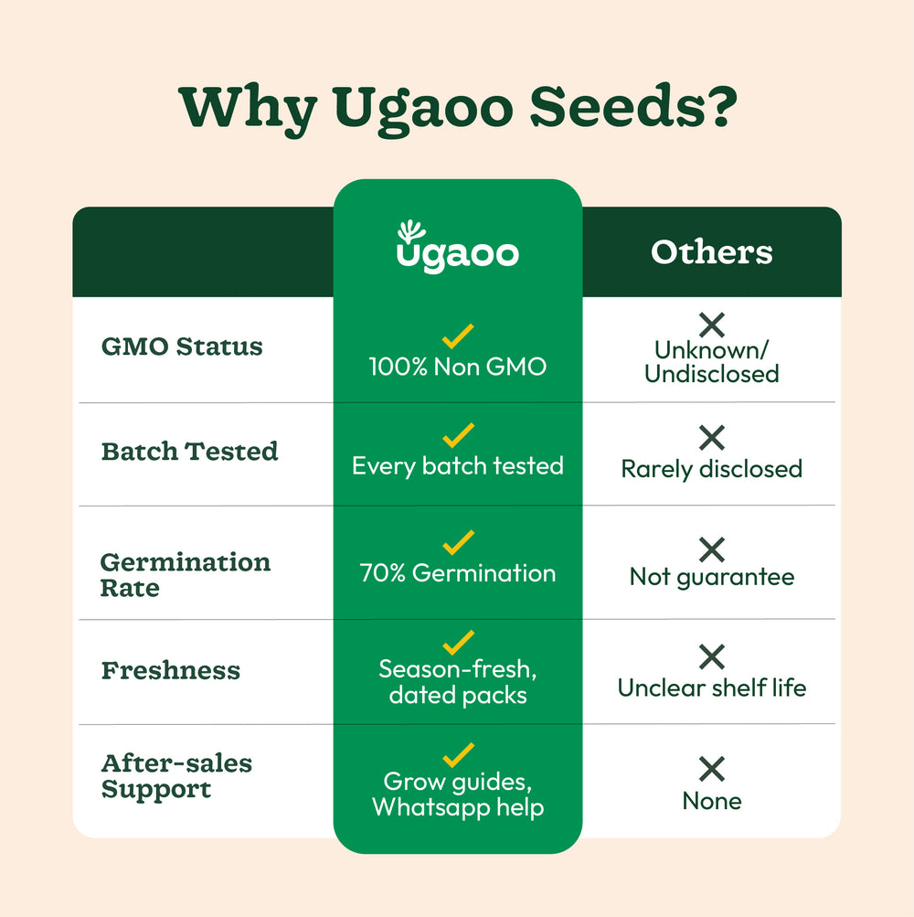 NUFSO065