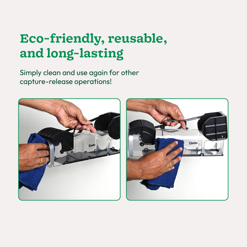 Rat &amp; Mouse Trap Cage – 3 Door