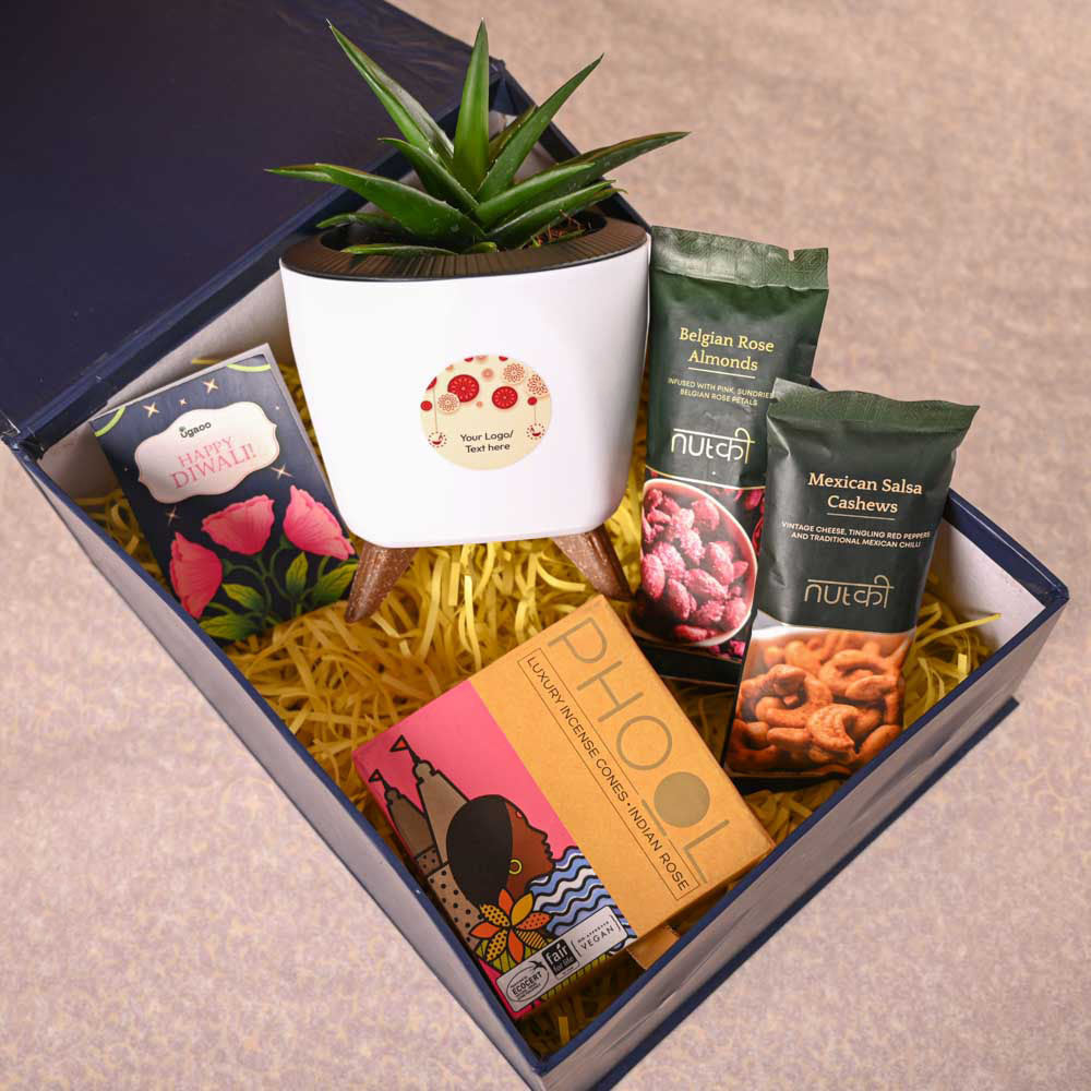 aloe vera plant gift ideas Aloe Vera Mini Plant & Phool Diwali Gift Hamper – Ugaoo