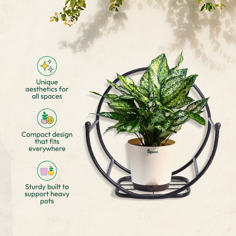 Concave Wall Mounting Planter