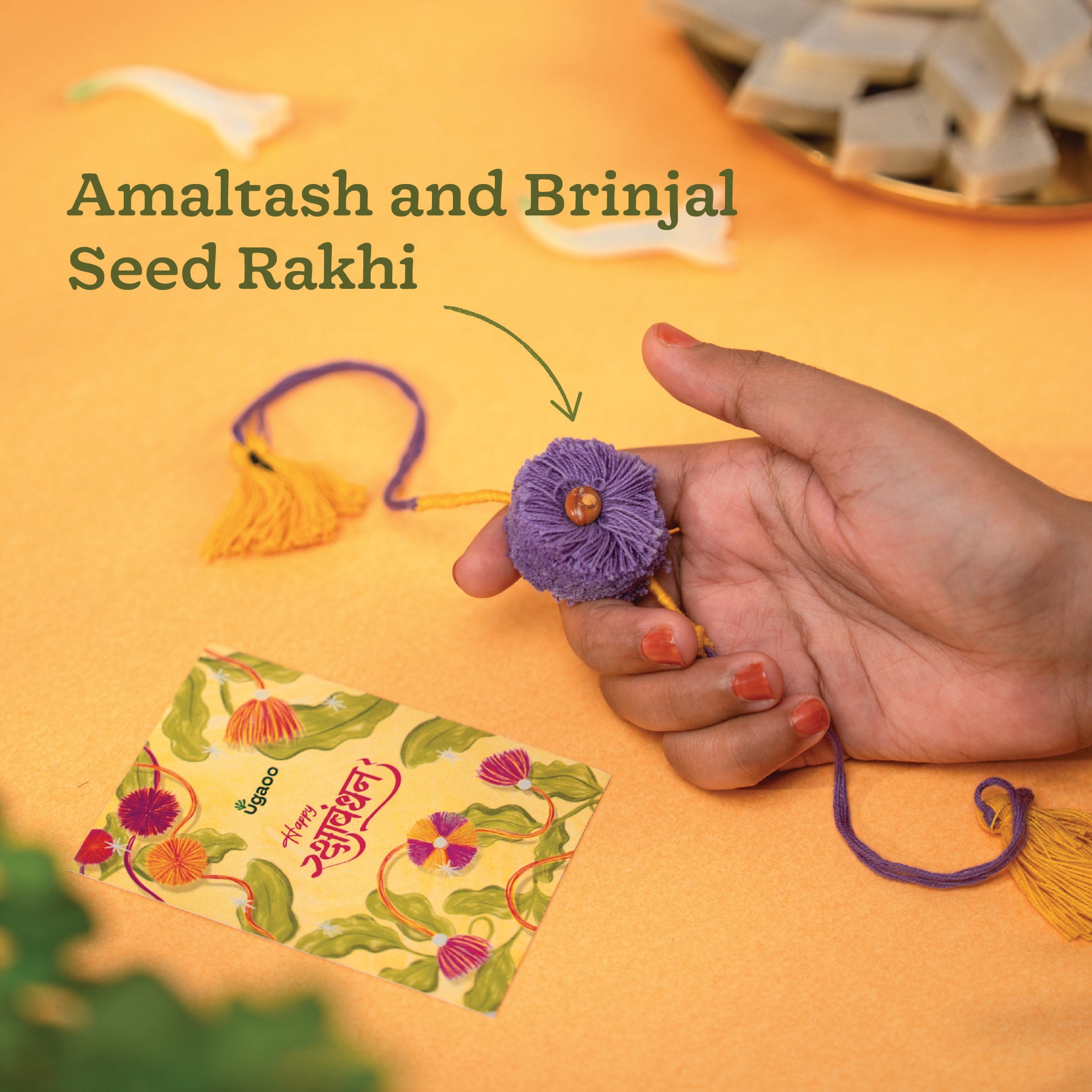 Plantable Seed Rakhi with Amaltash And Brinjal Seed