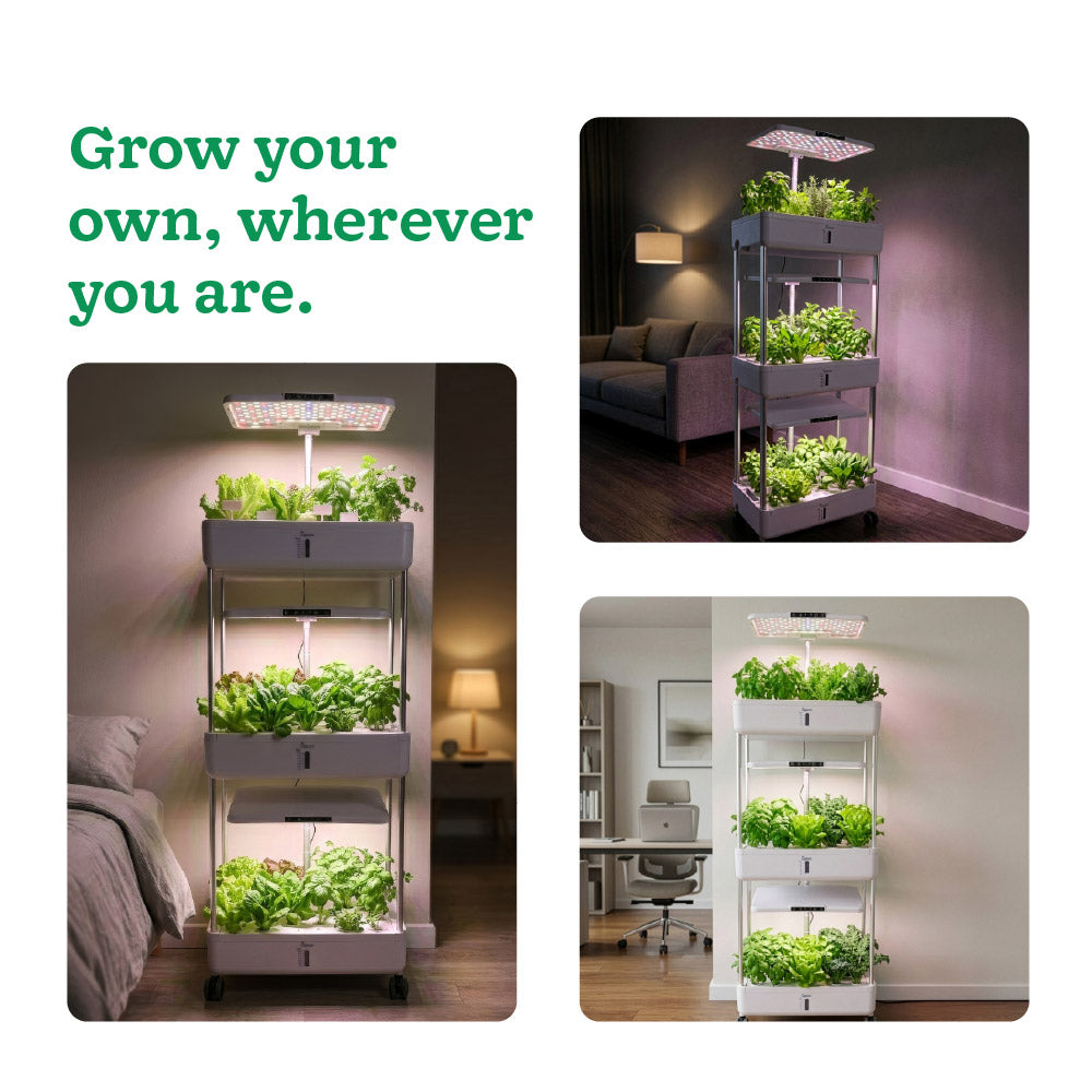 3-Tier Hydroponic Growing System with LED Grow Light