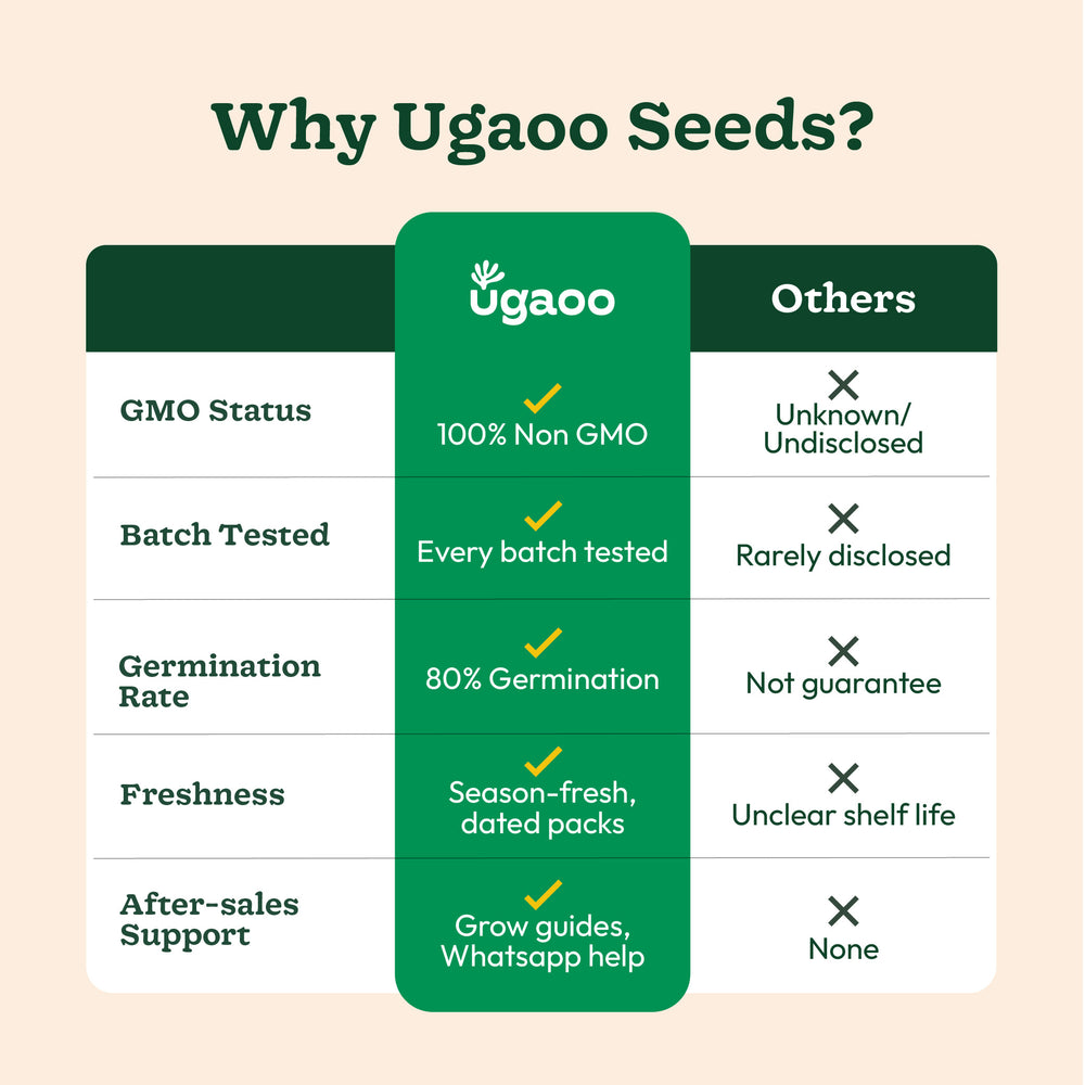 Cherry Tomatoes Seeds (Yellow)
