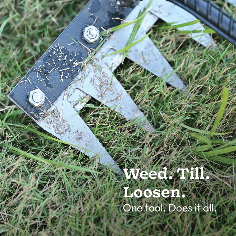 Hand Rake 6 Teeth